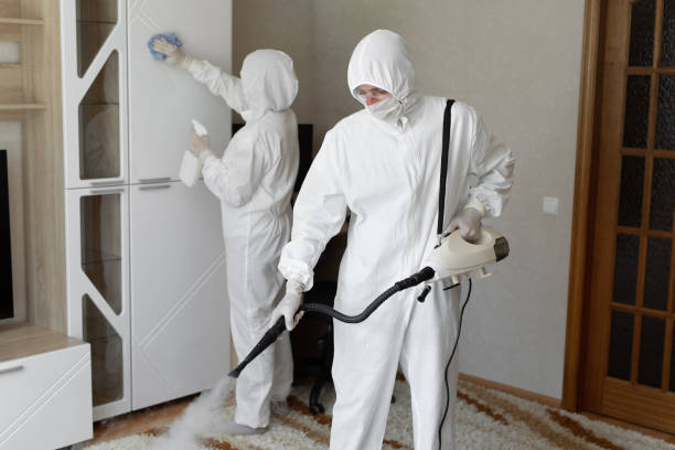 Trusted Sewage Cleanup service in Jamestown, OH - Four Month Blood Cleanse